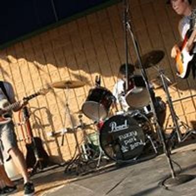 Fuzzy Park Band