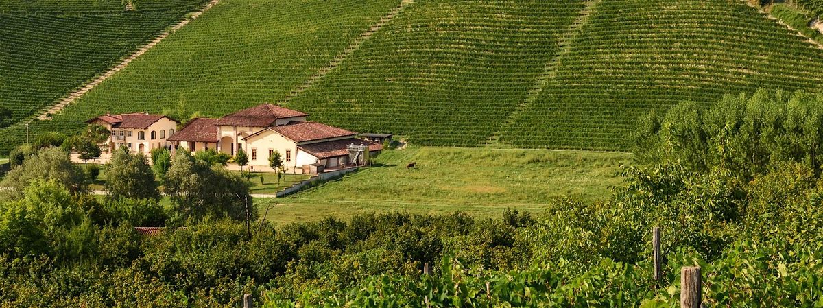 Wine Dinner with La Spinetta, 17 September | Event in Los Angeles | AllEvents
