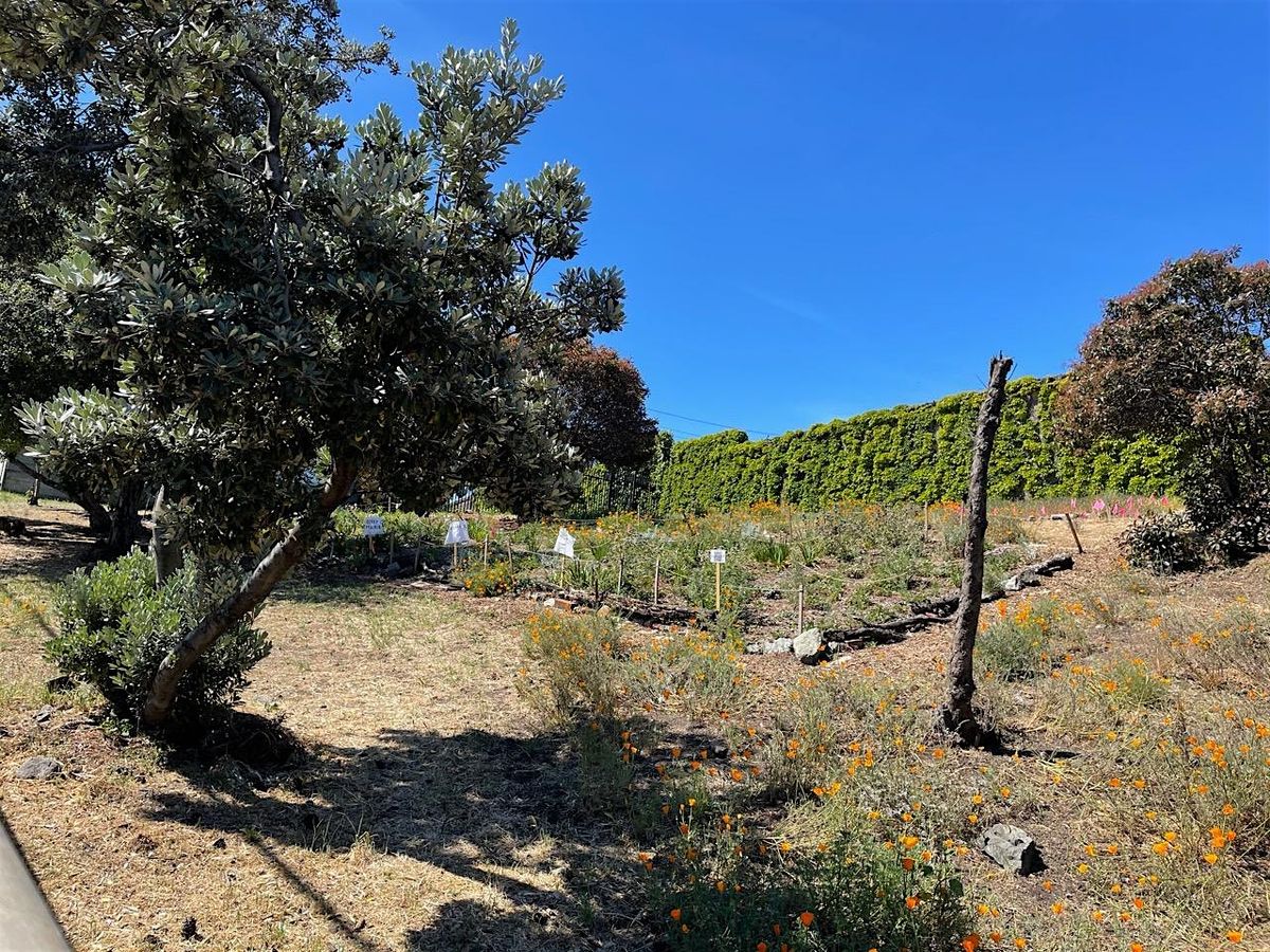 August Vermont Greenway & Eco-Patch Workday | Event in San Francisco | AllEvents