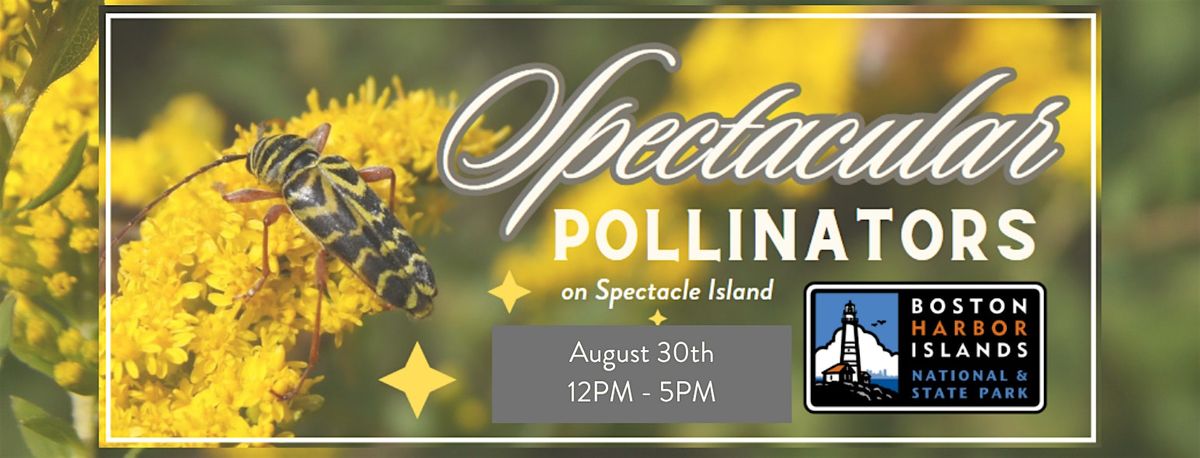 Spectacular Pollinators on Spectacle Island | Event in Boston | AllEvents