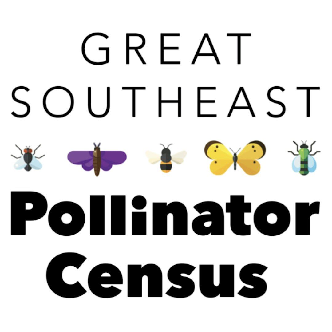 Great Southeast Pollinator Census, 23 August | Event in Deltona | AllEvents
