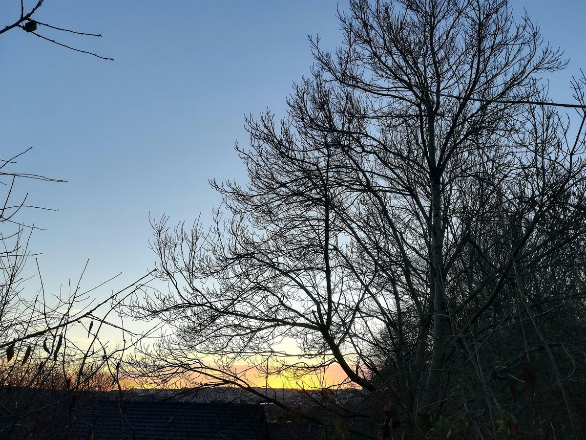 Winter Nature Writing Workshop and Walk - Porter Valley from cafe to cafe, 6 December | Event in Sheffield