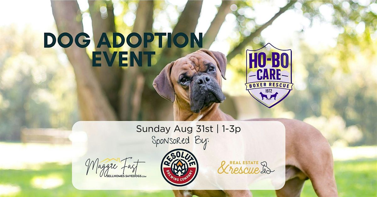 Dog Adoption  Event and Fundraiser for Ho-Bo Care Boxer Rescue, 31 August | Event in Arvada | AllEvents