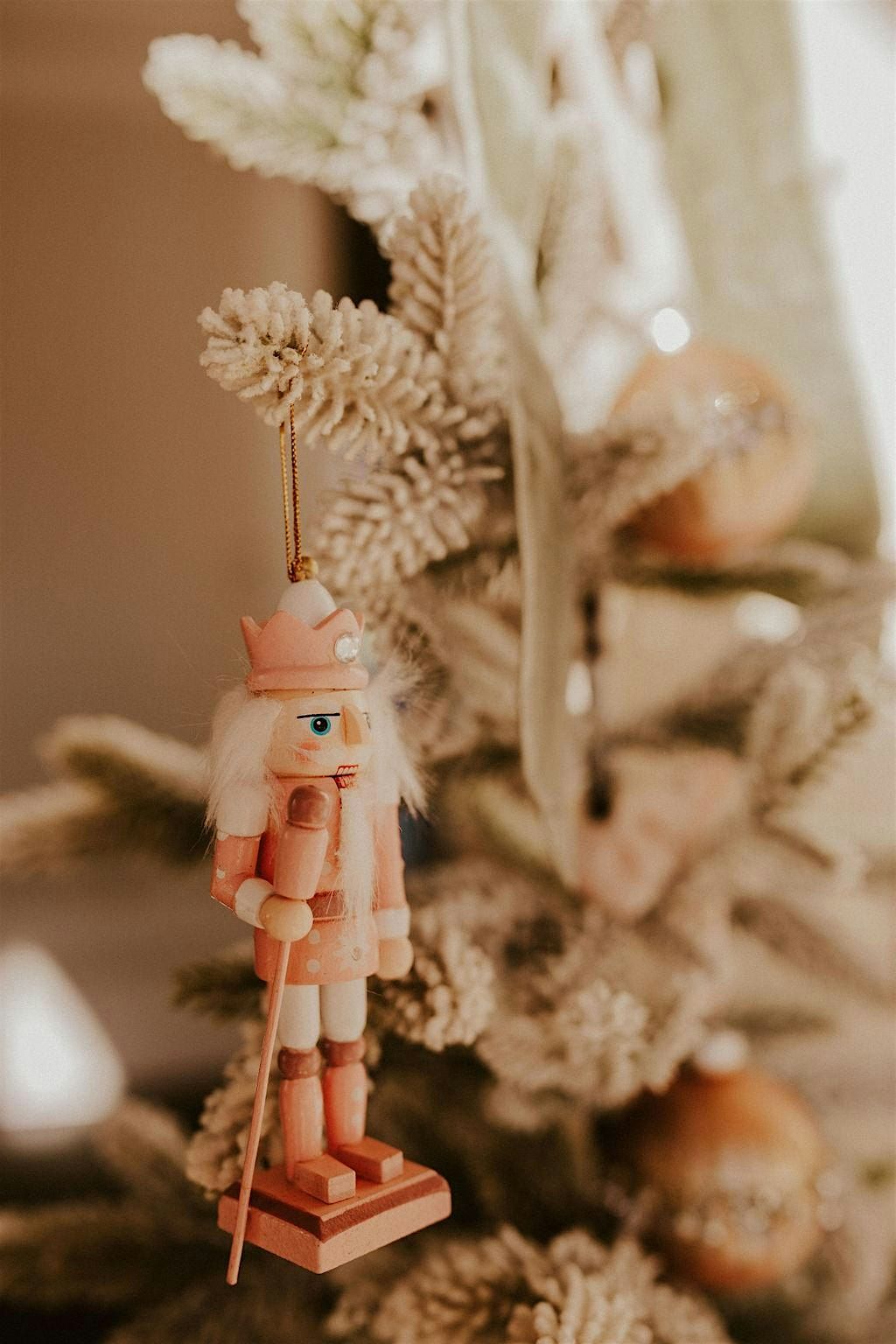 The Nutcracker: Short and Suite, 23 November | Event in Middletown | AllEvents