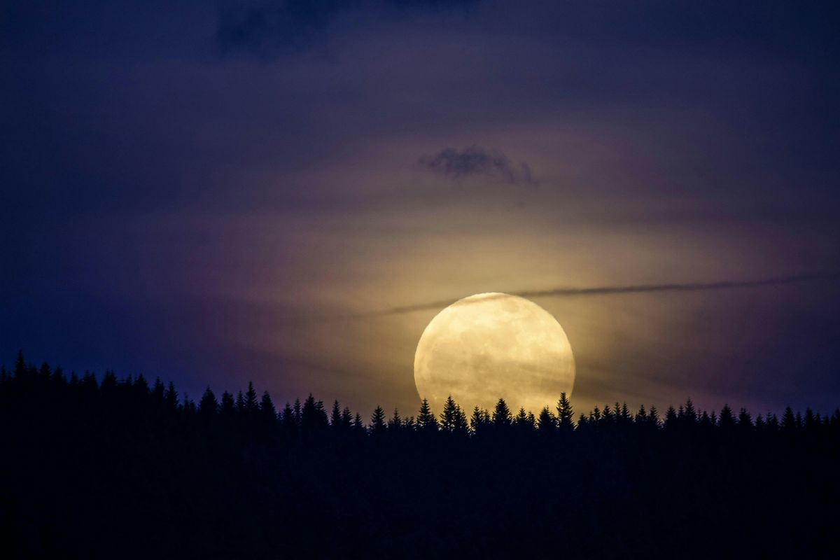 Guided Meditation Circle for the Full Hunter Moon, 6 October | Event in Baltimore | AllEvents