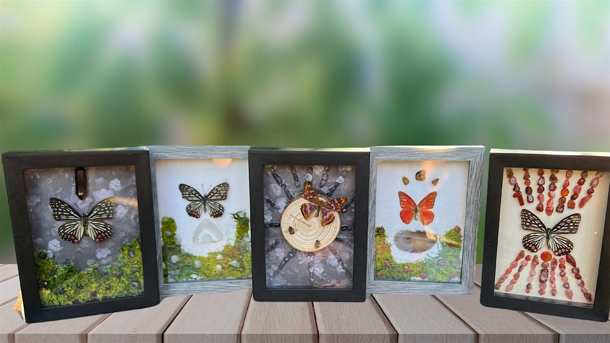 DIY Taxidermy Butterfly Shadow Box Class with Boozy Brunch, 27 July | Event in Long Beach | AllEvents