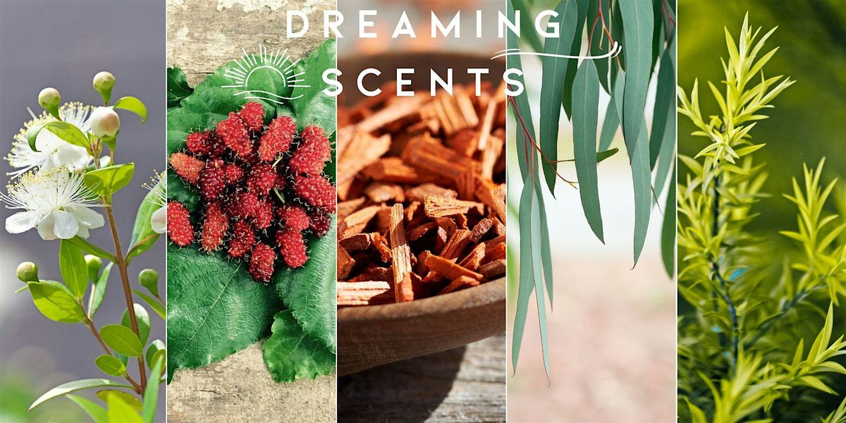 Dreaming Scents, 7 November | Event in Shellharbour City Centre | AllEvents