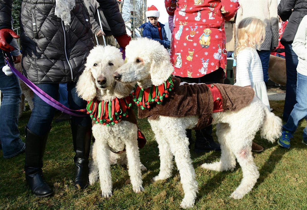 Kennebunkport's Christmas Prelude: Pooch Parade, 14 December | Event in Kennebunkport | AllEvents