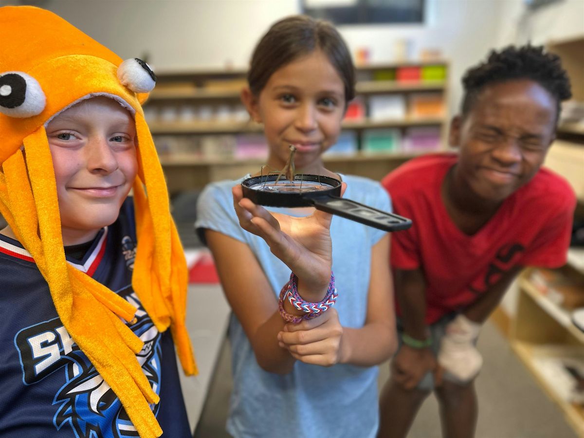 Montessori Journey Parent Night, 30 October | Event in Dracut | AllEvents