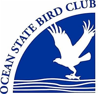Trustom Pond National Wildlife Refuge Bird Walk, 16 May | Event in South Kingstown | AllEvents