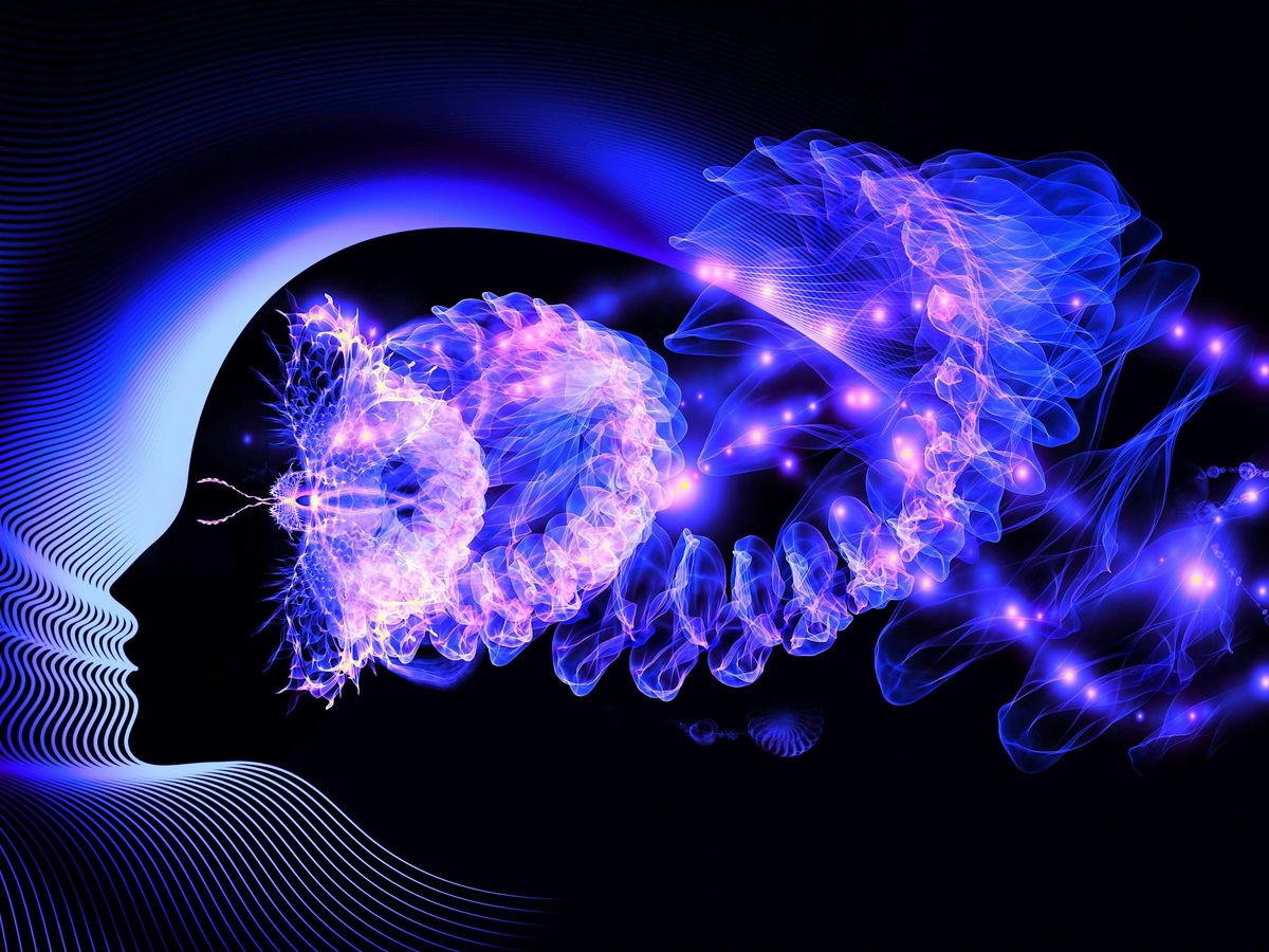 Group Transformational NeuroDynamic™  Breathwork Workshop, 21 June | Event in Tampa | AllEvents