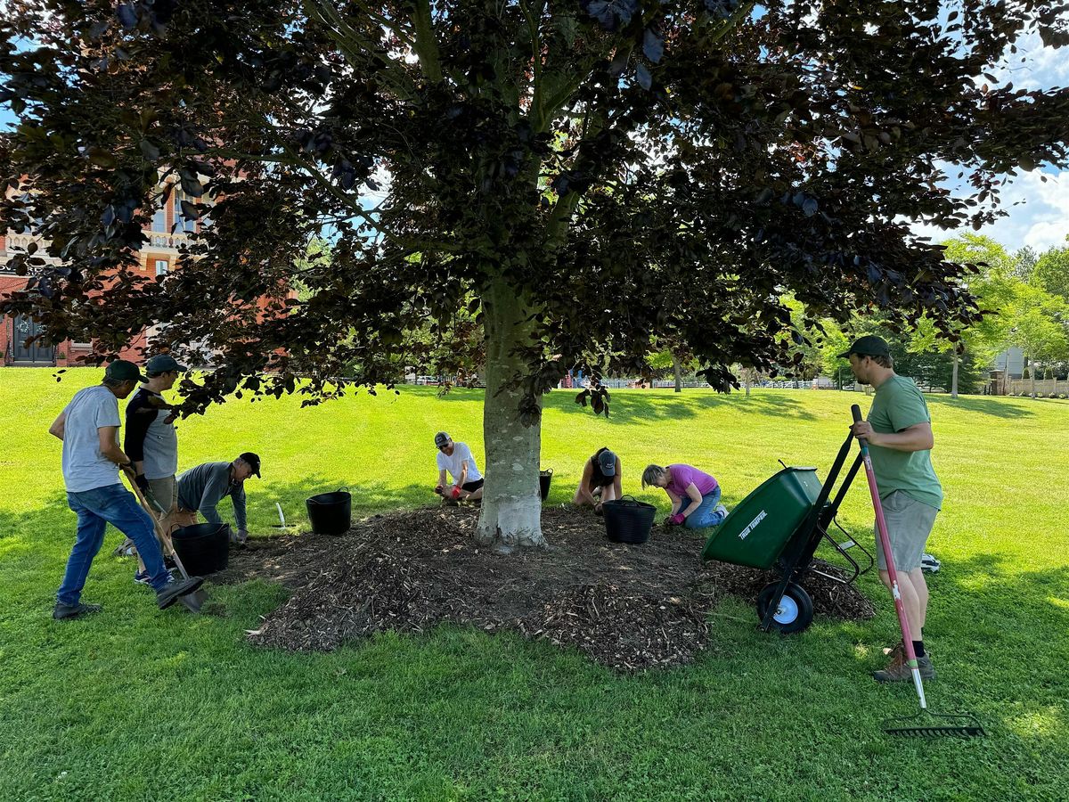 Tree Corps: Miantonomi Park, 31 May | Event in Newport | AllEvents