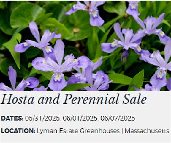 Hosta and Perennial Sale, 31 May | Event in Waltham | AllEvents