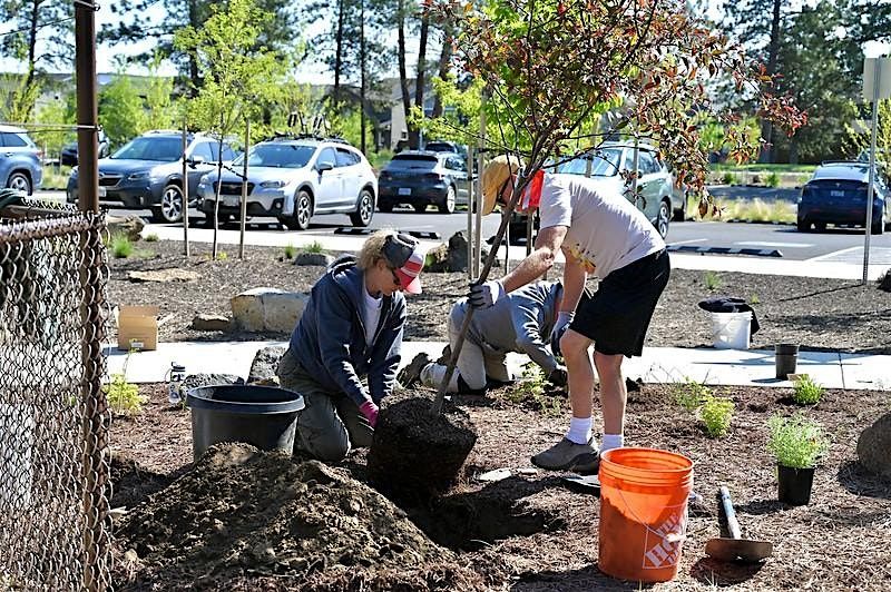 Right Plant, Right Place, 26 July | Event in Bend | AllEvents
