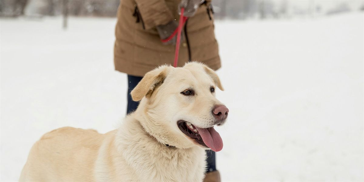 First Day Hike, 1 January | Event in Niagara Falls | AllEvents