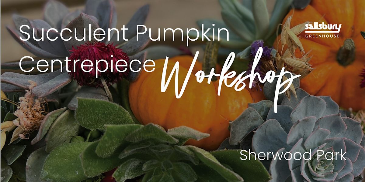 DIY Succulent Pumpkin Centrepiece | Workshop | Sherwood Park, 11 October | Event in Sherwood Park | AllEvents