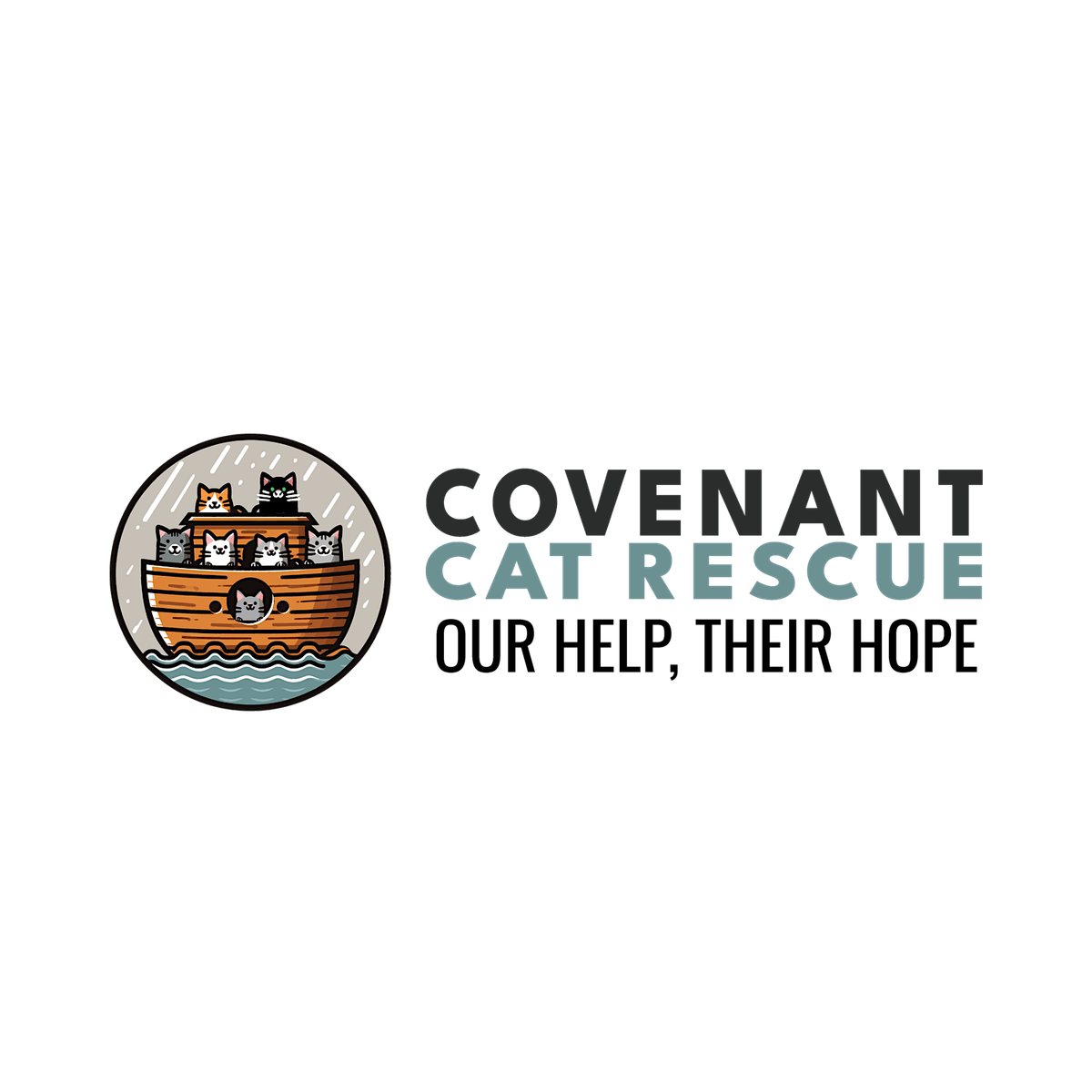 Cat & Kitten Meet & Greet, 20 December | Event in Alhambra | AllEvents