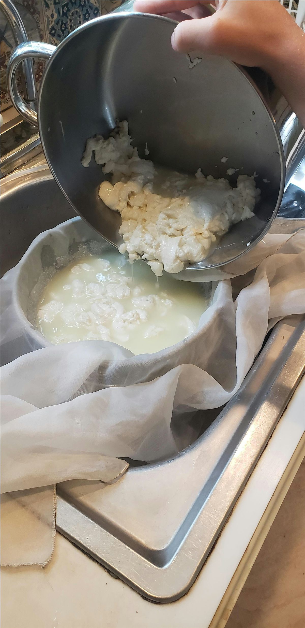 3 Cheeses In Three Hours - July, 19 July | Event in Johns Island | AllEvents
