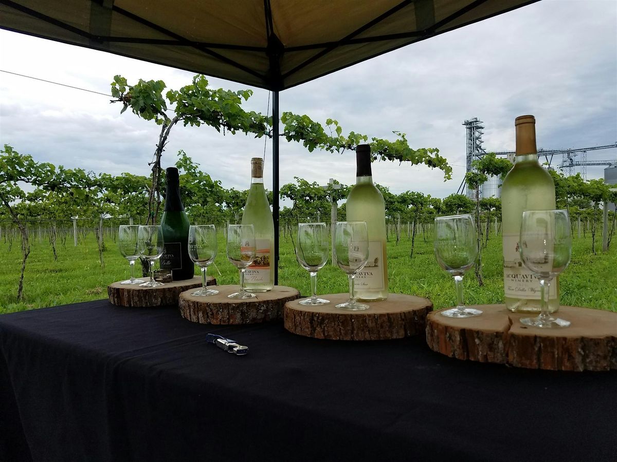 Acquaviva Winery Vineyard Golf Cart Tour & Tasting, 28 August | Event in Maple Park | AllEvents