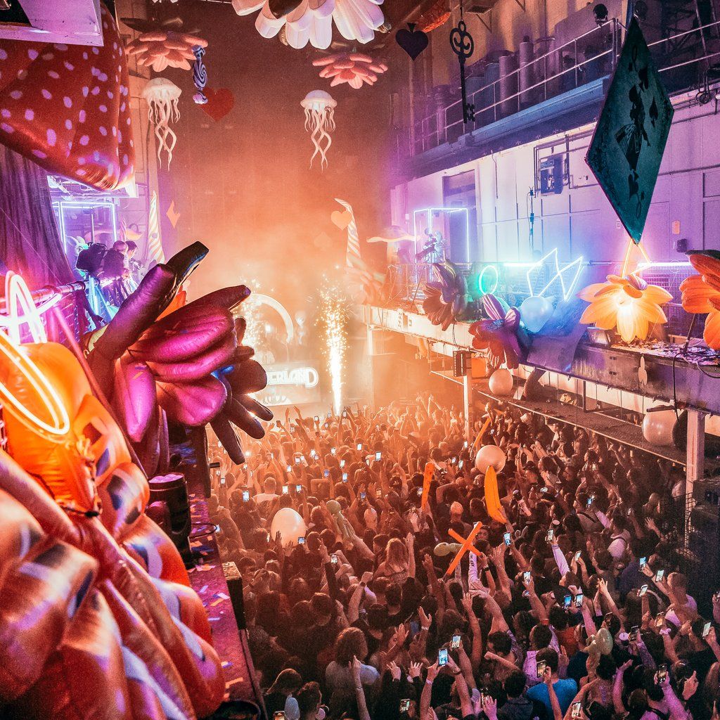 Foreverland Cardiff Down The Rabbit Hole Rave, Y Plas, Cardiff