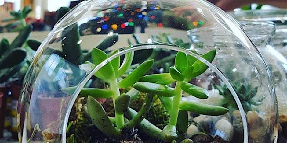 Terrarium Building Workshop, 14 September | Event in Washington | AllEvents