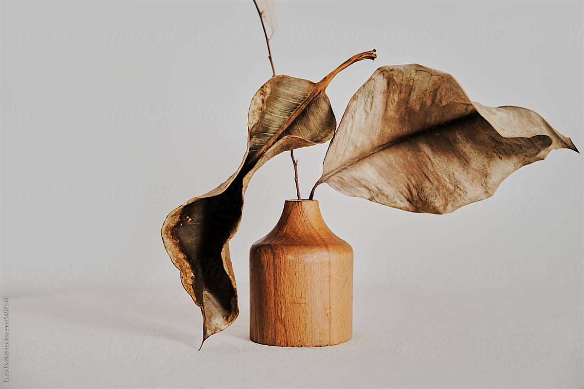 Natalie Ducastelle Therapy, 19 December | Event in San Rafael | AllEvents