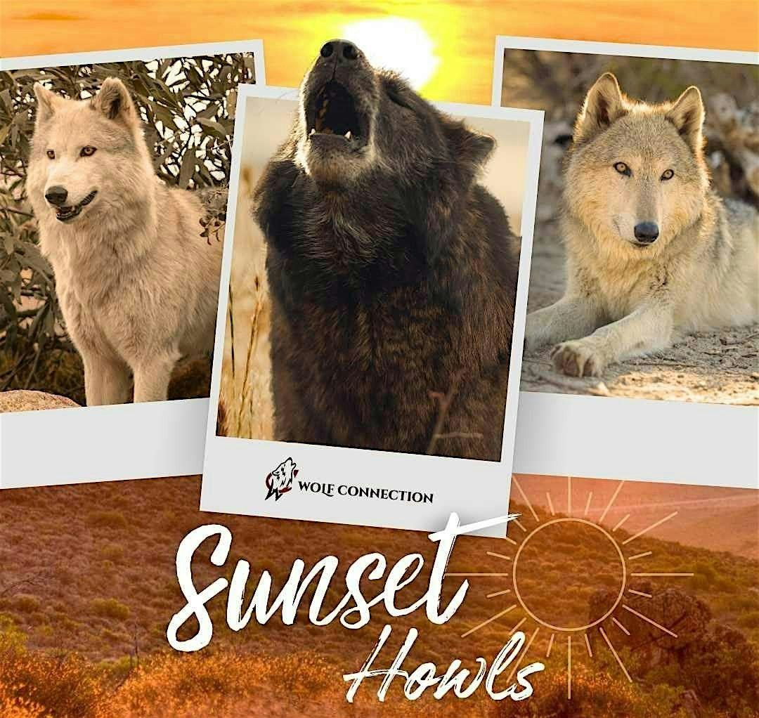 Sunset Howls, 7 June | Event in Palmdale | AllEvents