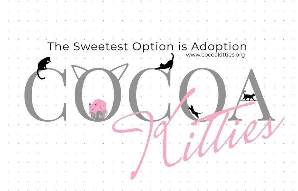 Meet & Greet with Cocoa Kitties and Catering by Haj Paj food truck, First United Methodist