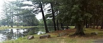 FREE TOUR: Granby's Dufresne Park: A History and Nature Walk into its Woods, 18 October | Event in Granby