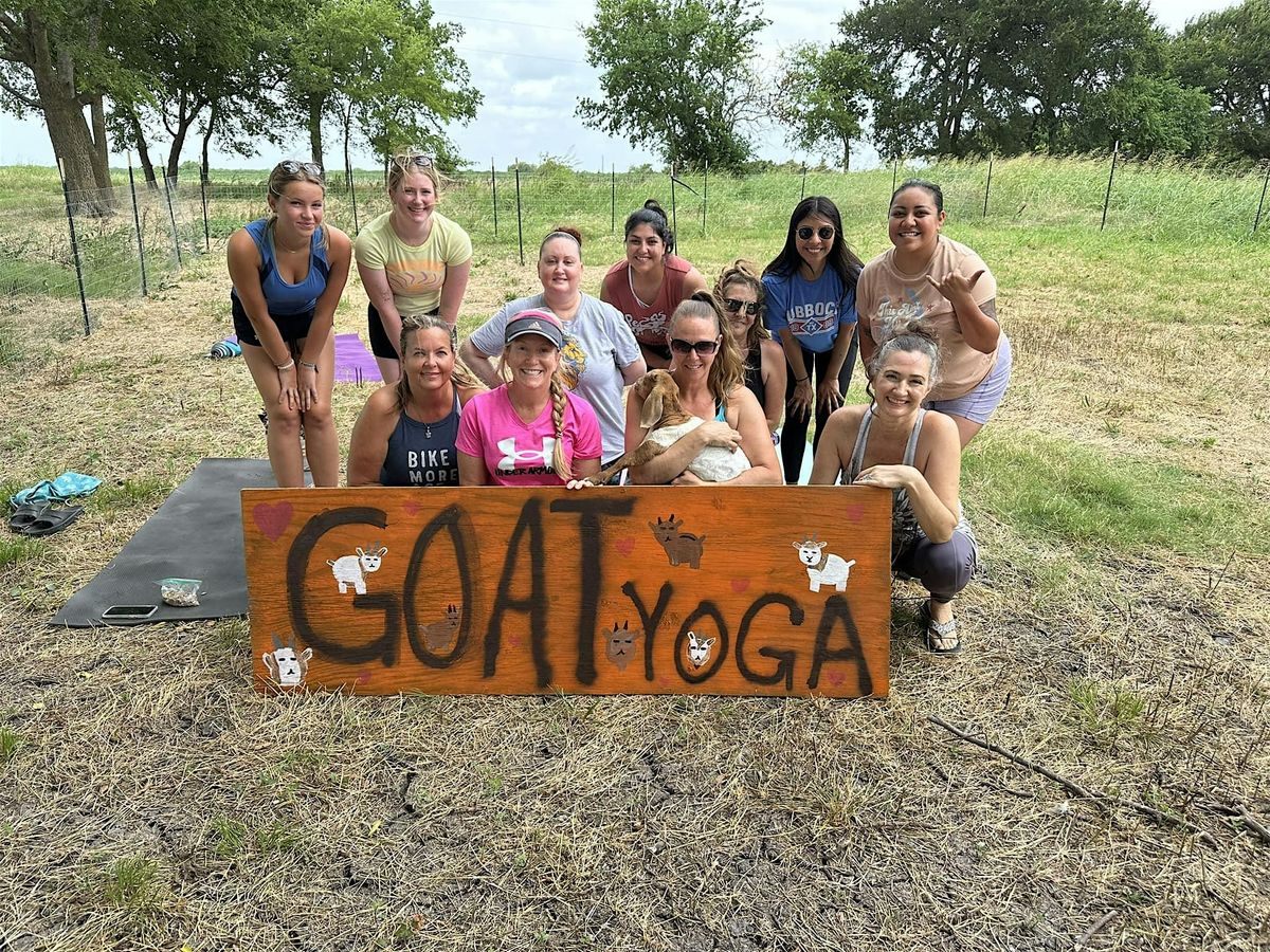 GOAT YOGA, 23 August | Event in Commerce | AllEvents