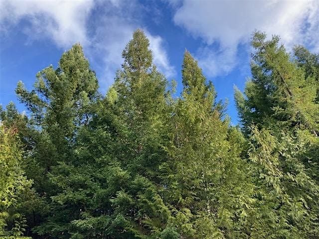 Oregon Tree Farm System 2025 Annual Meeting, 15 November | Event in Rickreall | AllEvents