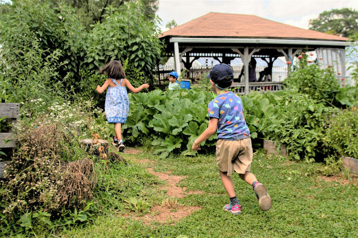 Summer Children's Garden | Event in Flushing | AllEvents