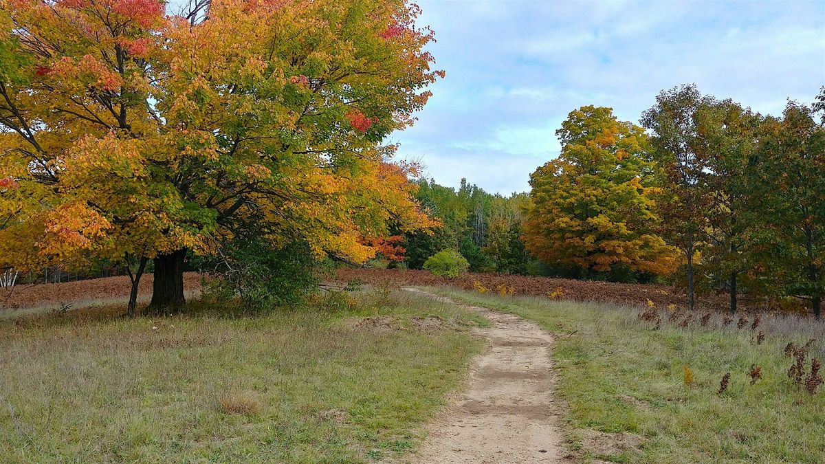 Preserve Stewards: Invasive Species at the George and Sue Lane Preserve, 21 August | Event in Gladwin | AllEvents