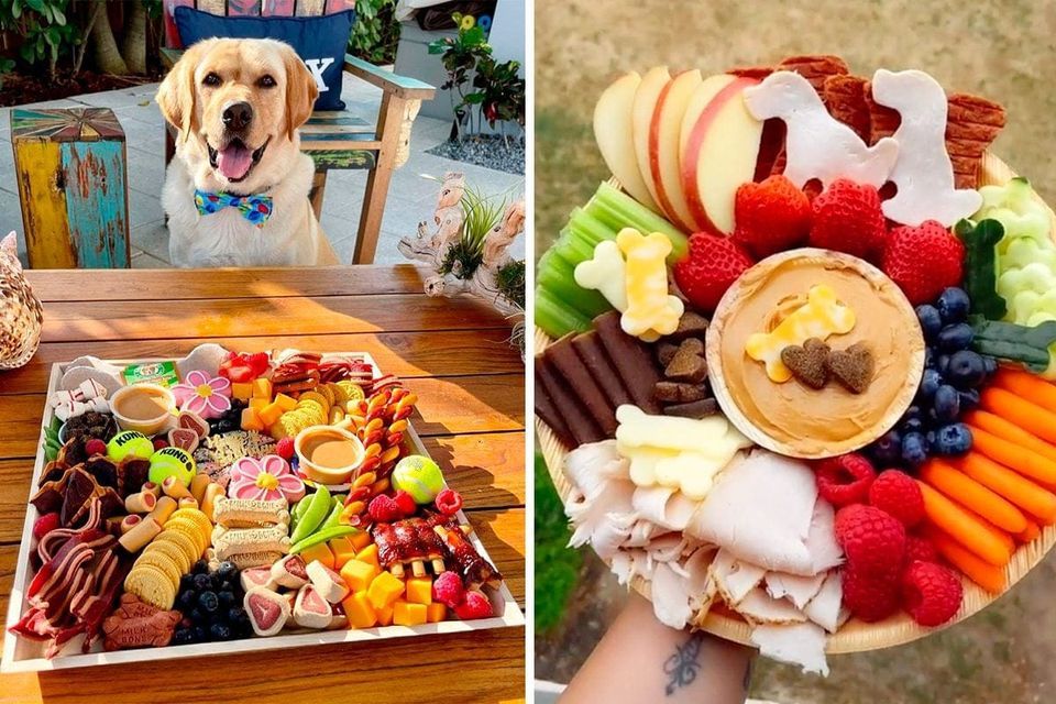 Charcuterie for a Cause, Three Heads Brewing, Rochester, June 24 2023