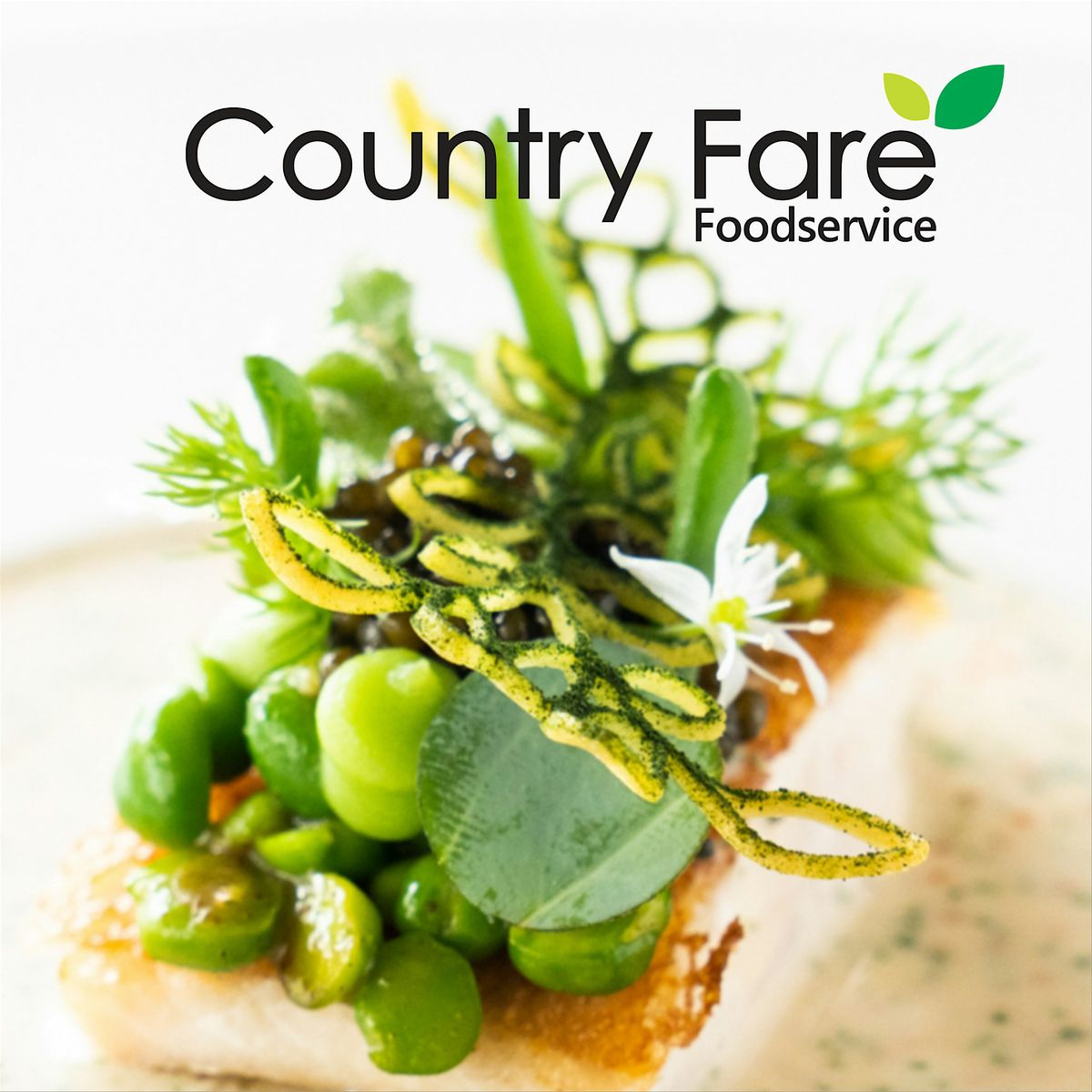 Copy of Discover the world of plants with Koppert Cress., 14 October | Event in Bournemouth | AllEvents