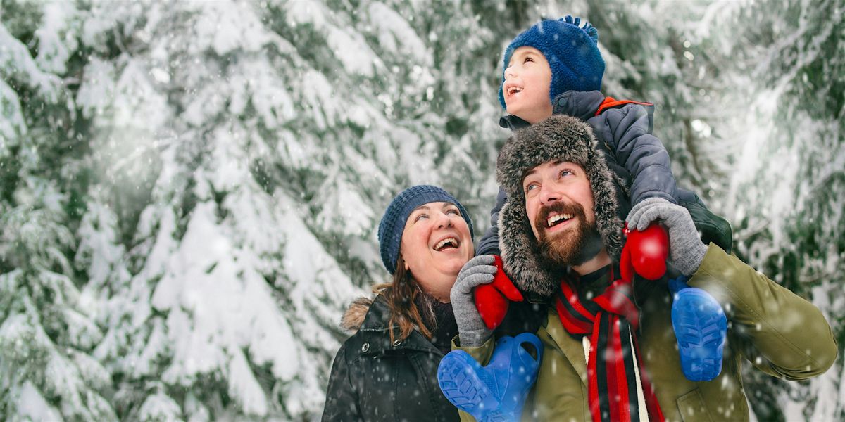 Jingle Falls Stroll, 6 December | Event in Niagara Falls | AllEvents
