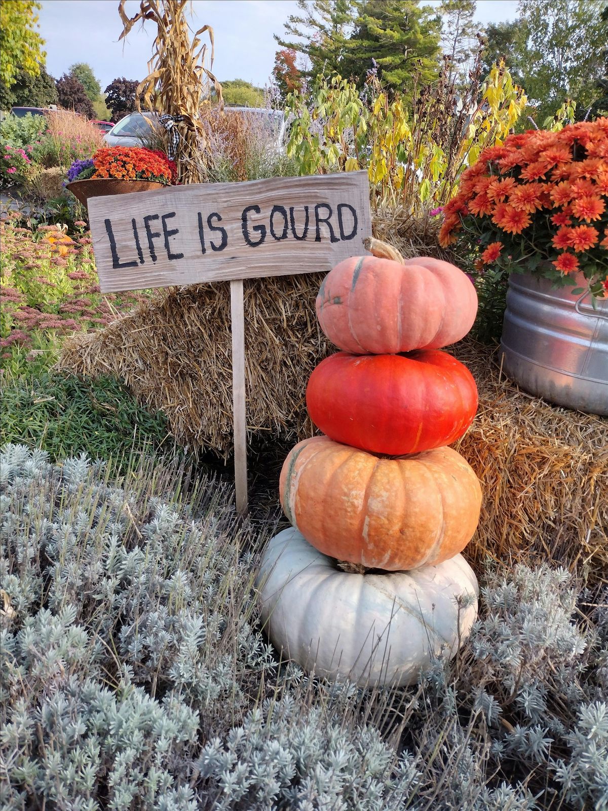 Watercolor for beginners, Harvest Pumpkins at Mosquito Hill, 1:30pm class, 25 October | Event in New London