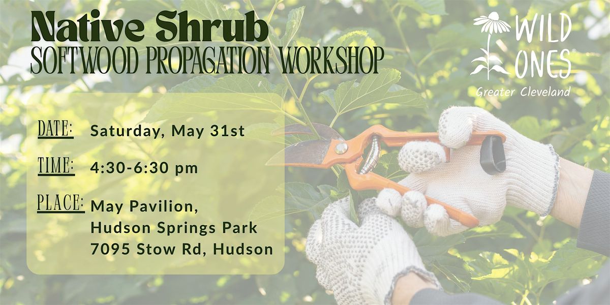 Native Shrub Softwood Propagation Workshop, 31 May | Event in Hudson | AllEvents