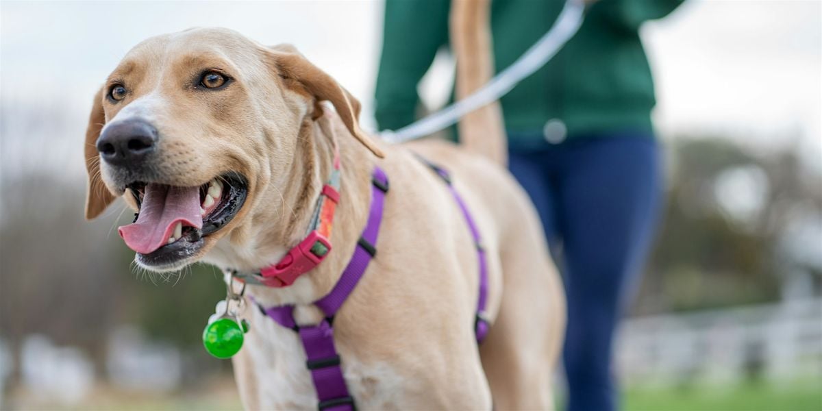 SNIFFari through the Park, 7 September | Event in Niagara Falls | AllEvents