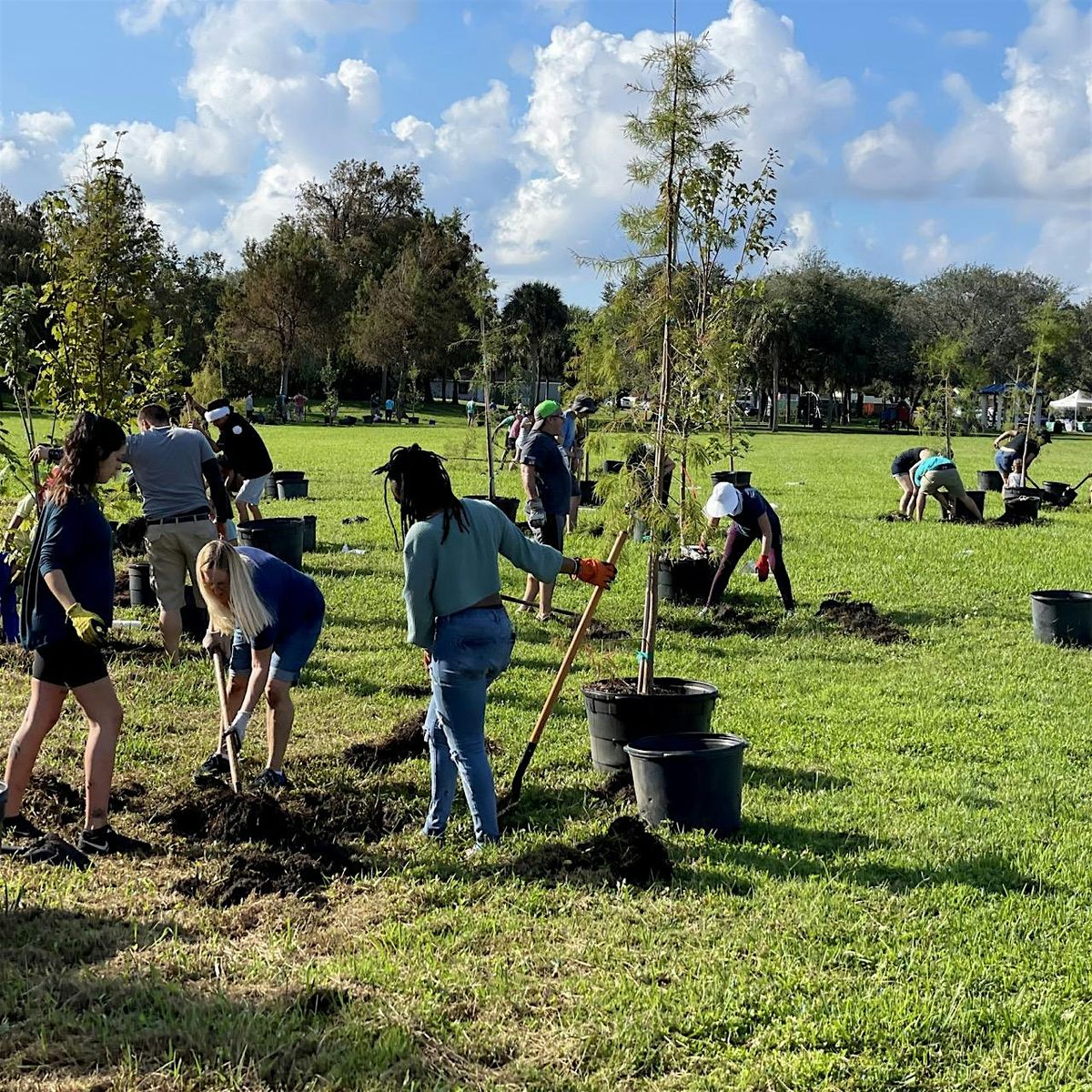 Dyer Park Tree Planting | Volunteers (12/13/25), 13 December | Event in West Palm Beach | AllEvents