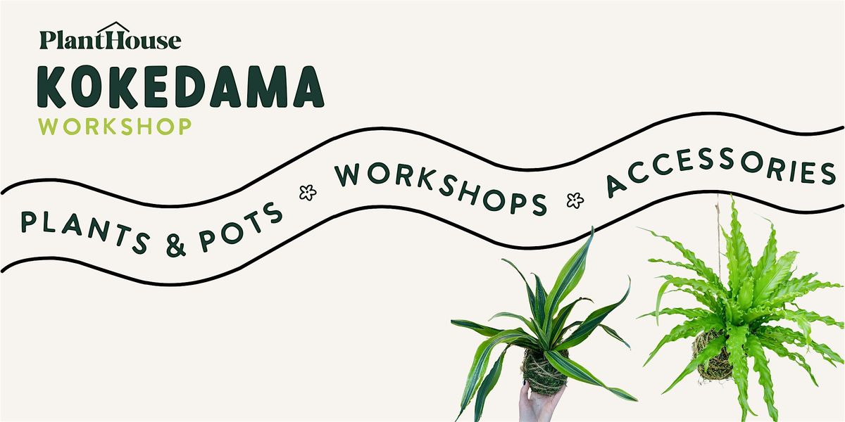 Kokedama Workshop | Event in Virginia Beach | AllEvents