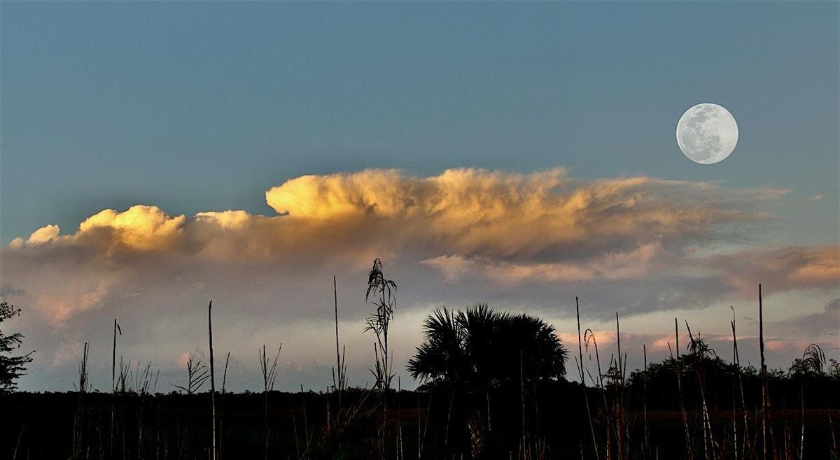 MOONLIT TRAM TOUR in the FAKAHATCHEE PRESERVE, 4 December | Event in Copeland | AllEvents