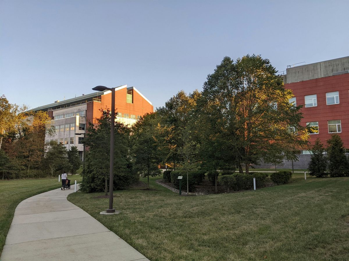 Amazing Scavenger Hunt! - Facts About George Mason and Fairfax | Event in Fairfax | AllEvents