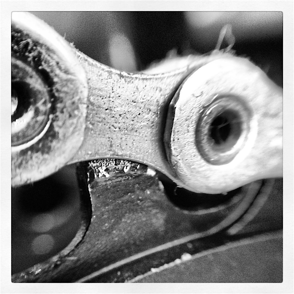 Absolute Bikes Workshop: Servicing and Bleeding Your Hydraulic Brakes | Event in Flagstaff | AllEvents