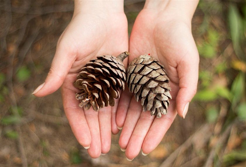 Weekend Wellness: Spring Mindful  Walk and Craft at Sevenoaks, 29 March | Event in Sevenoaks | AllEvents