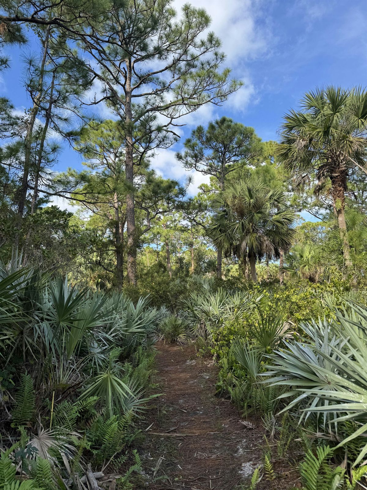 Explore Natural Martin Nature Walk, 19 June | Event in Stuart | AllEvents