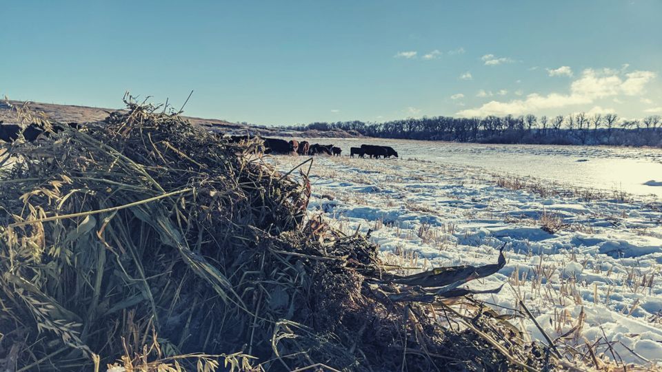 Westlock Local Producer Meeting, Westlock & District Community Hall