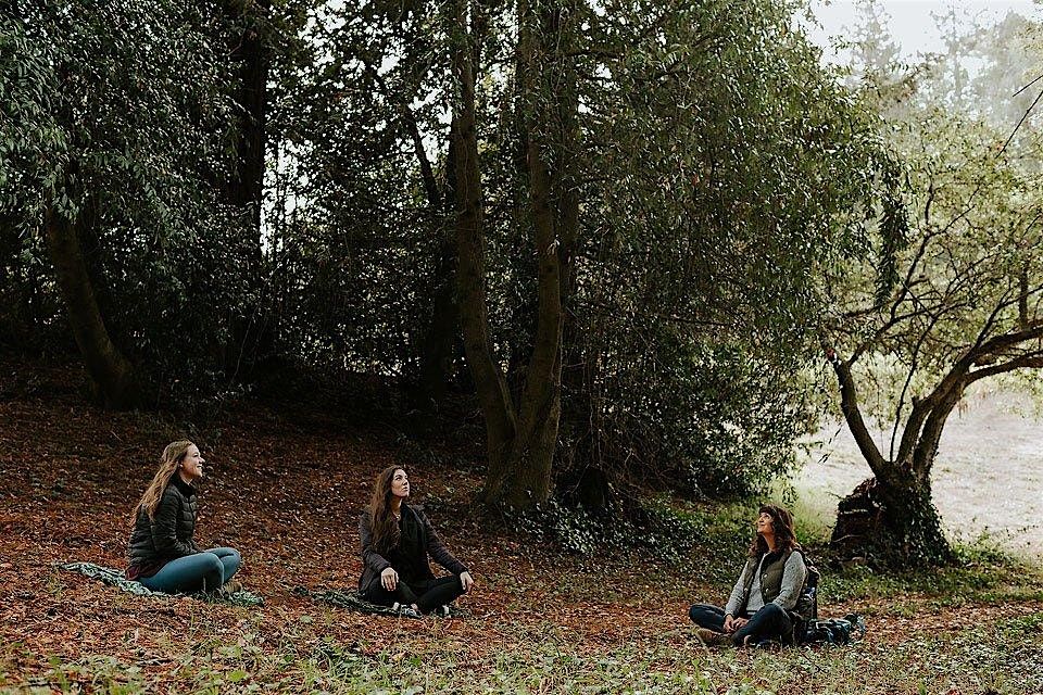 Forest Bathing for Healthcare Workers, 2 August | Event in Camp Meeker | AllEvents