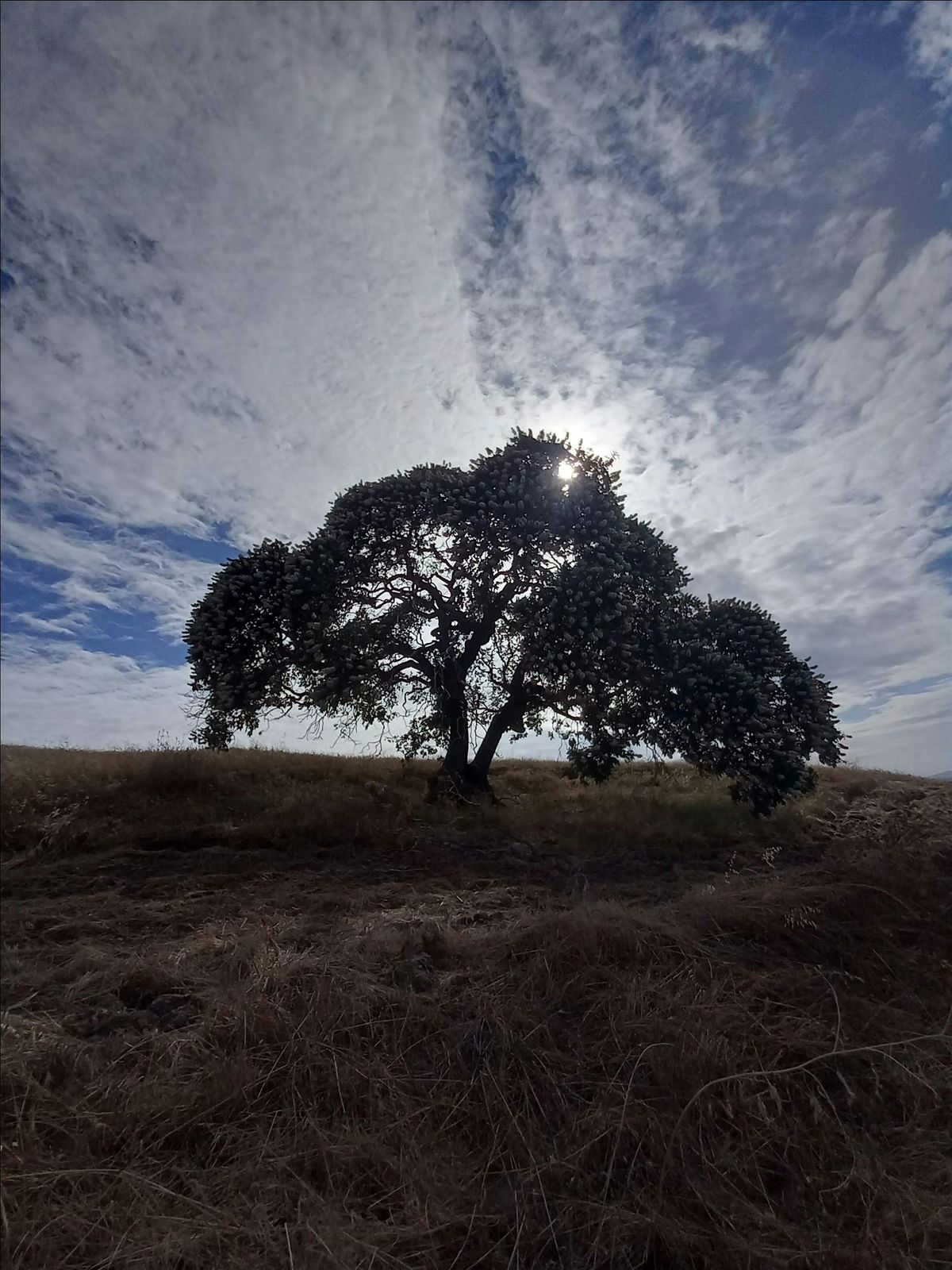 Mothers' Day Hike at Fernandez Ranch, 11 May | Event in Martinez | AllEvents
