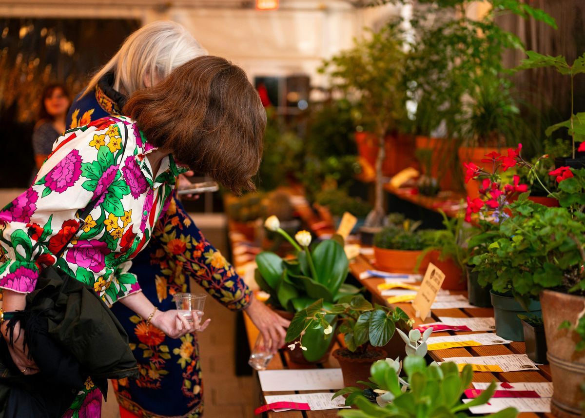 Flower Show Preview Party, 19 September | Event in Wellesley | AllEvents